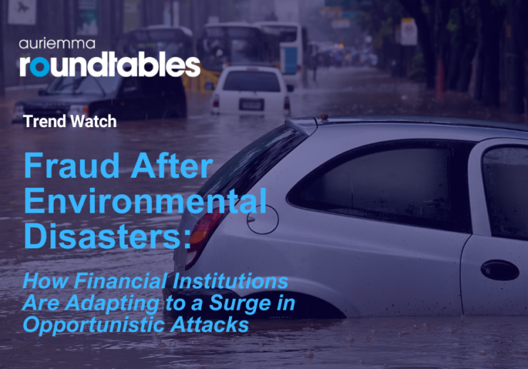 Fraud After Environmental Disasters:  How Financial Institutions Are Adapting to a Surge in Opportunistic Attacks